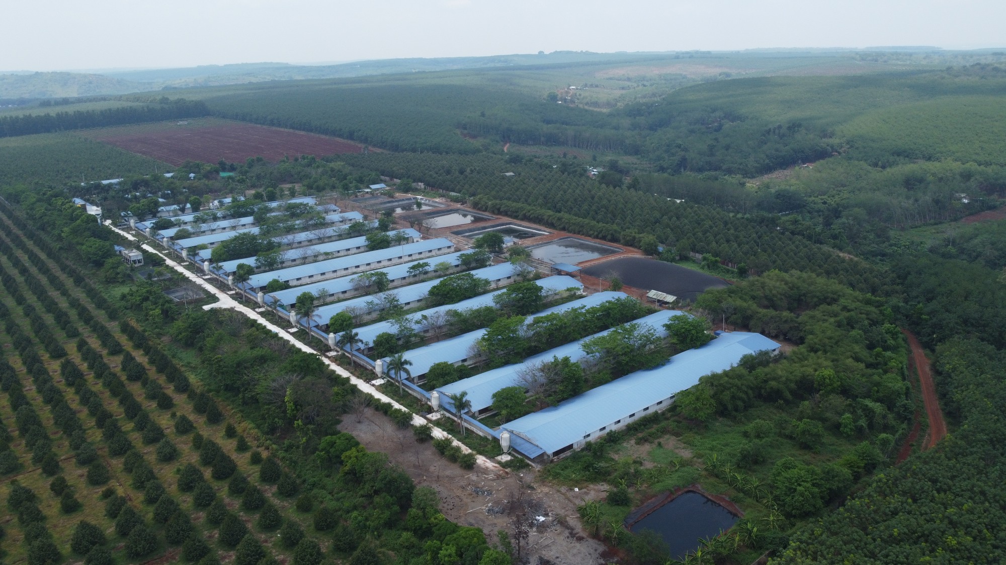 danh sách khu công nghiệp tại Thành Phố Hồ Chí Minh