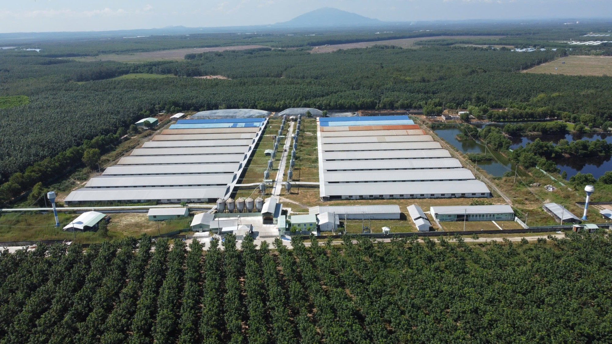 Danh sách Cụm Khu công nghiệp Tỉnh Tây Ninh