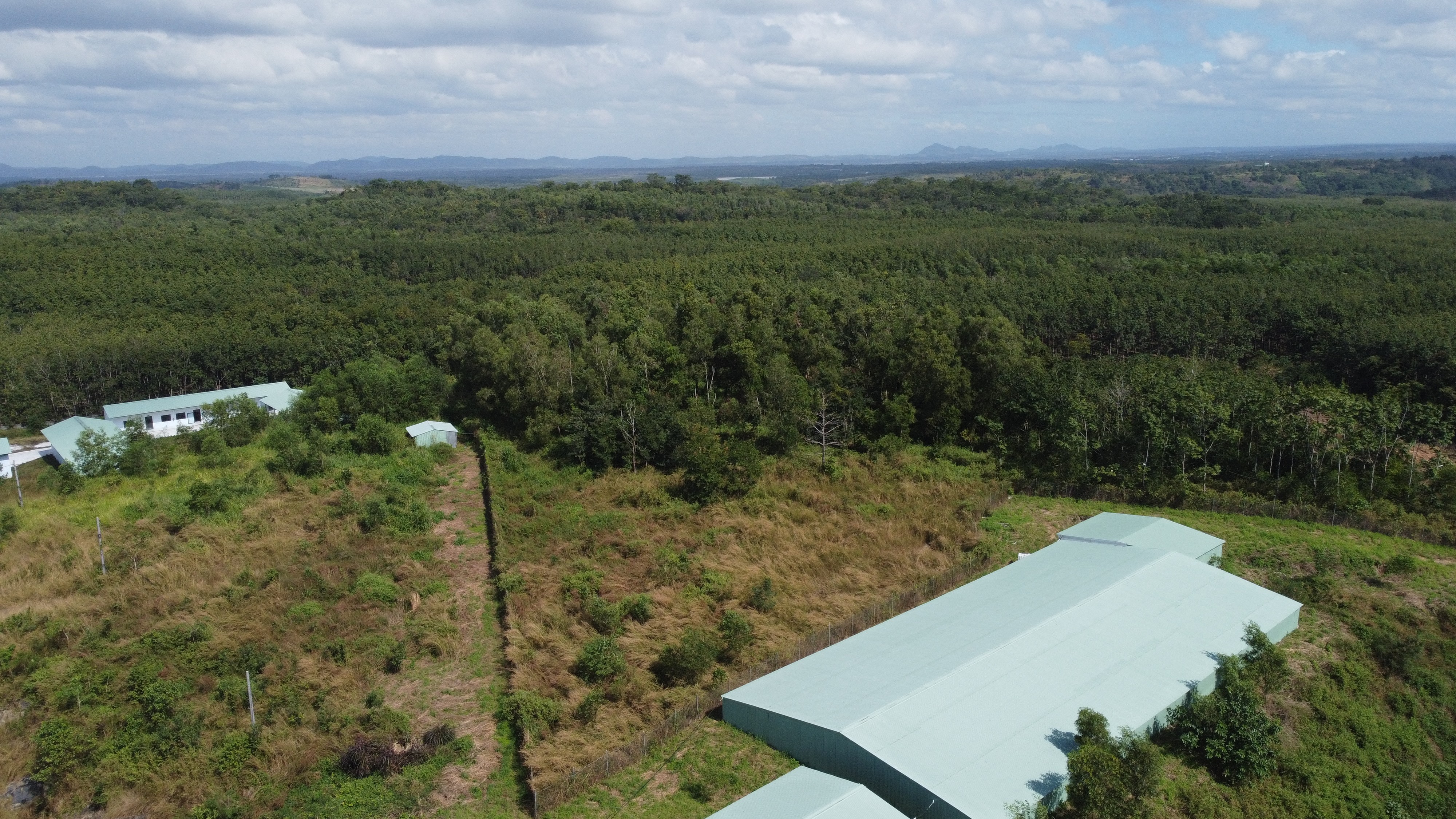 Quốc hội chốt giảm 70% tiền chuyển đổi đất nông nghiệp sang thổ cư