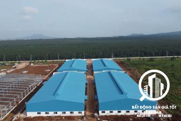 Chắc hẳn bạn không tin ? nhưng đó là sự thật - Nhà xưởng mới cho thuê chỉ 45k/m2