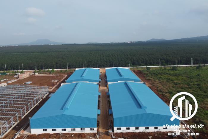 Chắc hẳn bạn không tin ? nhưng đó là sự thật - Nhà xưởng mới cho thuê chỉ 45k/m2