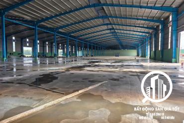 Thị trường cho thuê nhà xưởng " SỐC NẶNG " khi giá thuê xưởng KCN Đức Hòa chỉ 2,5$/m2