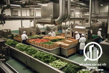 Chuyển nhượng 100% cổ phần nhà máy chế biến thực phẩm KCN Bến Lức Long An