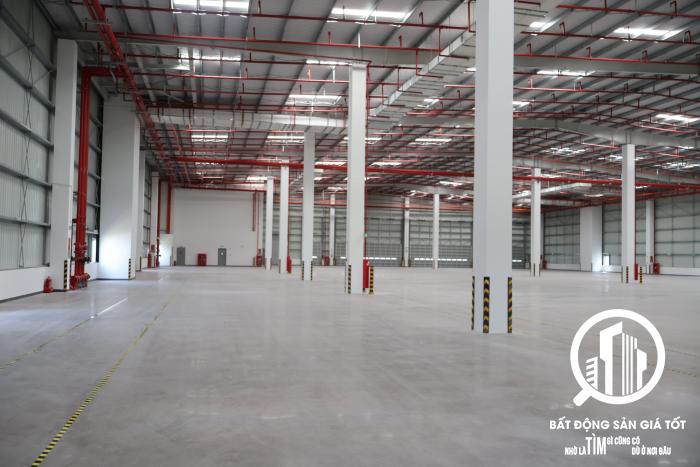 cho thuê nhà xưởng 22000m2 KCN Thuận Đạo - Long An