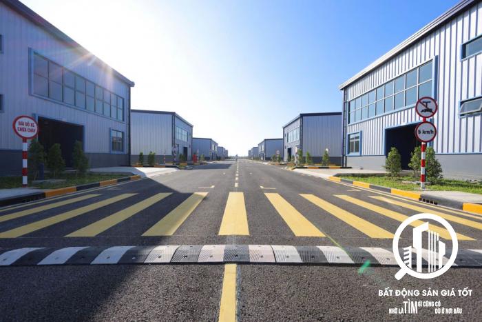 Cho thuê nhà xưởng mới 6500m2 KCN Thuận Đạo - Long An